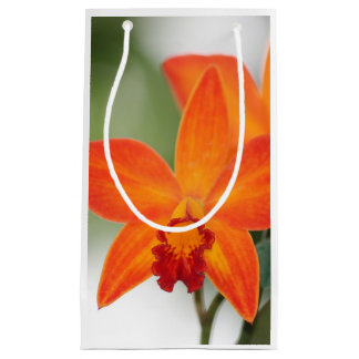 Pequeña Bolsa de regalo de Orquídea, Naranja tropical