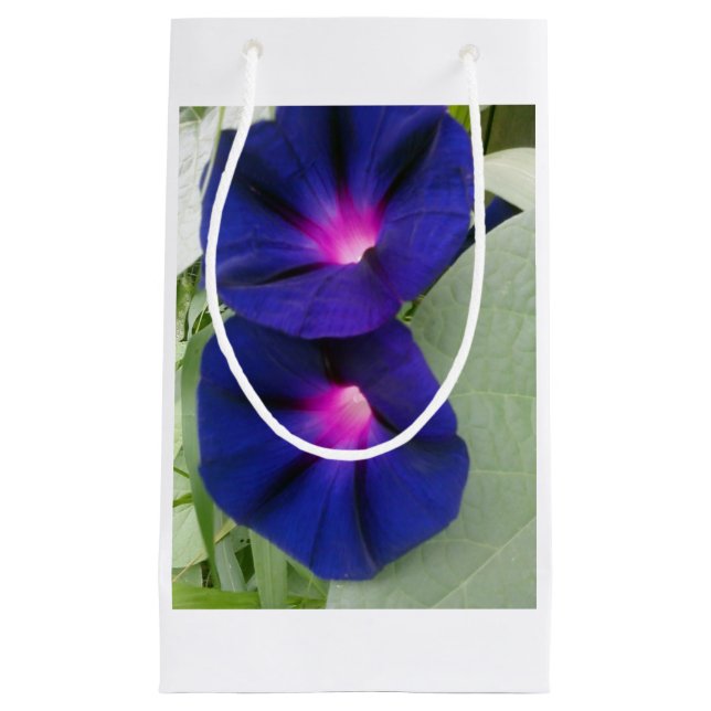 Pequeña Bolsa de regalo Morning Glory (Anverso)