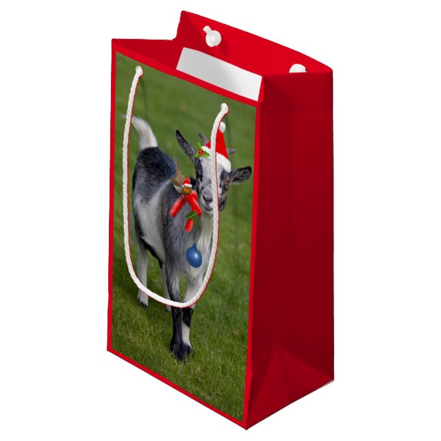 Pequeña Bolsa de regalo para Navidades (Angulo Anverso)