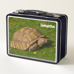 Pequeña caja de almuerzo Metalizado Tortoise