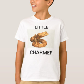Pequeña camiseta del encantador