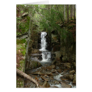 Pequeña carta de flúor