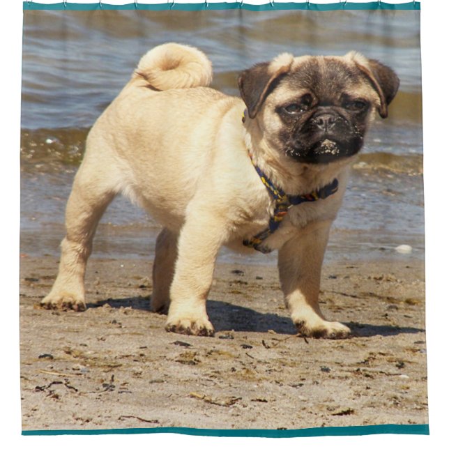 pequeña cortina de ducha de bebé lindo (Anverso)