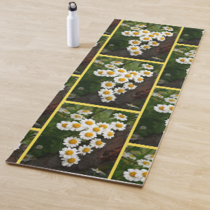 Pequeña Daisy Como Mat De Flor