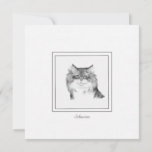 Pequeña Dibujo de una tarjeta plana siberiana para gatos