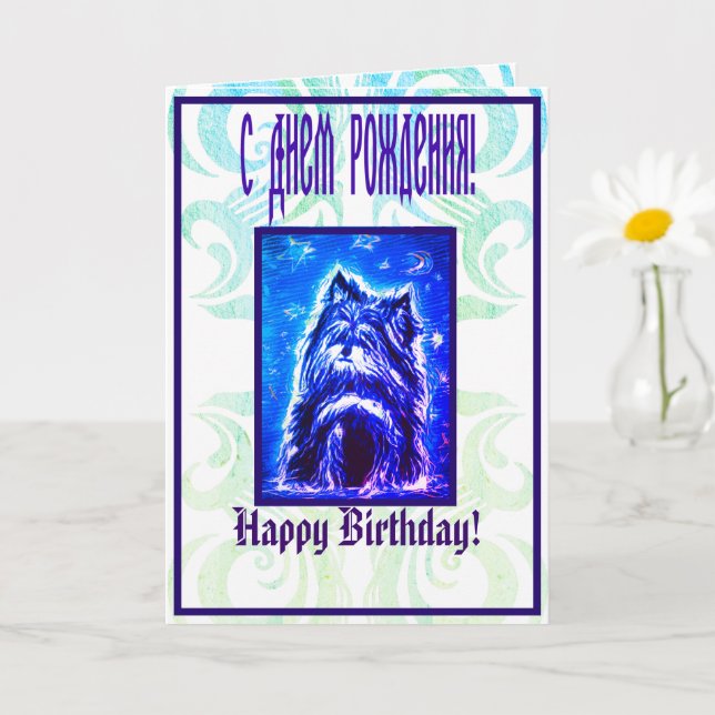 Pequeña dueña con tarjeta azul (Planta pequeña)