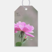 Pequeña etiqueta de Rosa de selección