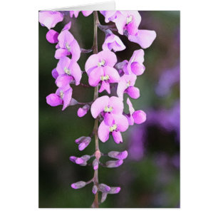 Pequeña flor púrpura