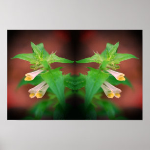 Pequeña Flor Silvestre Blanca Arte Floral Espejo N
