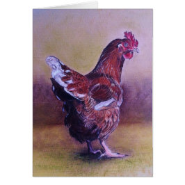 Pequeña gallina de Brown