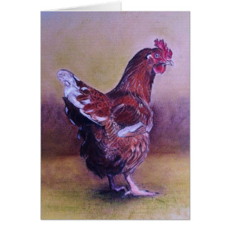Pequeña gallina de Brown