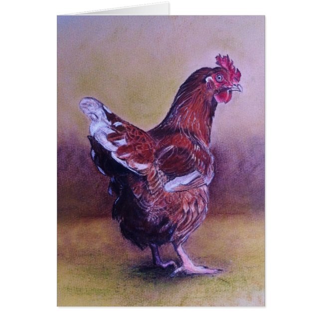 Pequeña gallina de Brown (Frente)