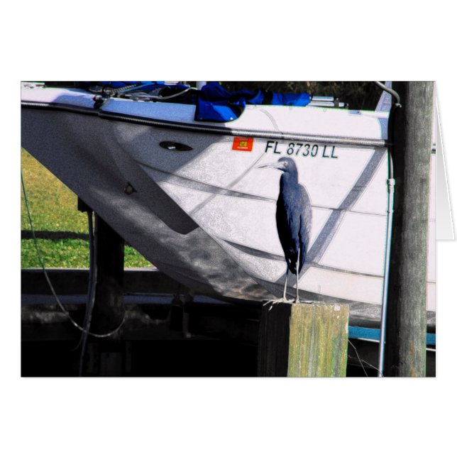 Pequeña garza azul (Anverso (Horizontal))