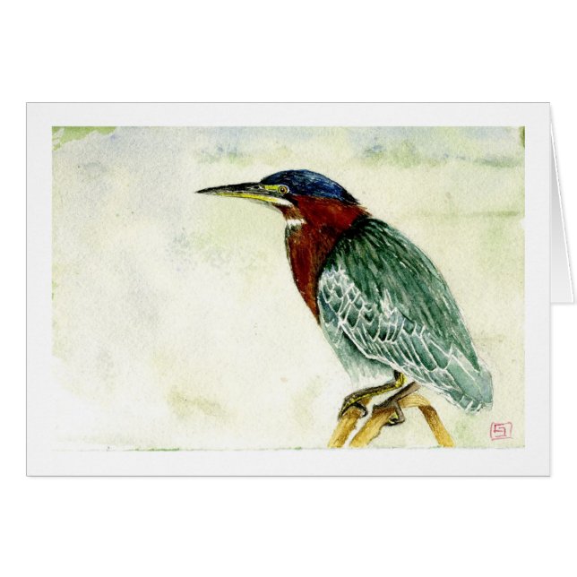 Pequeña garza verde (Anverso (Horizontal))