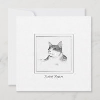 Imagen de un gato angora turca en una tarjeta plan
