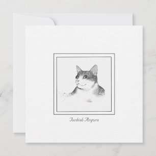 Pequeña Imagen de un gato angora turca en una tarjeta plan
