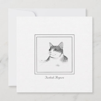 Pequeña Imagen de un gato angora turca en una tarjeta plan