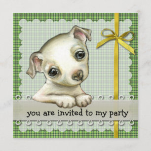 Pequeña invitación de la chihuahua