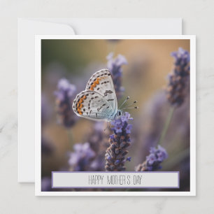 Pequeña mariposa con personalizable de lavanda