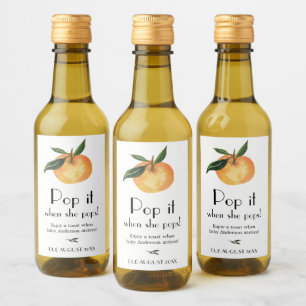 Pequeña Naranja cuata se pone de moda cuando hace