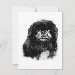 Pequeña Papelera de Pekinés - tarjeta en blanco "Mork"