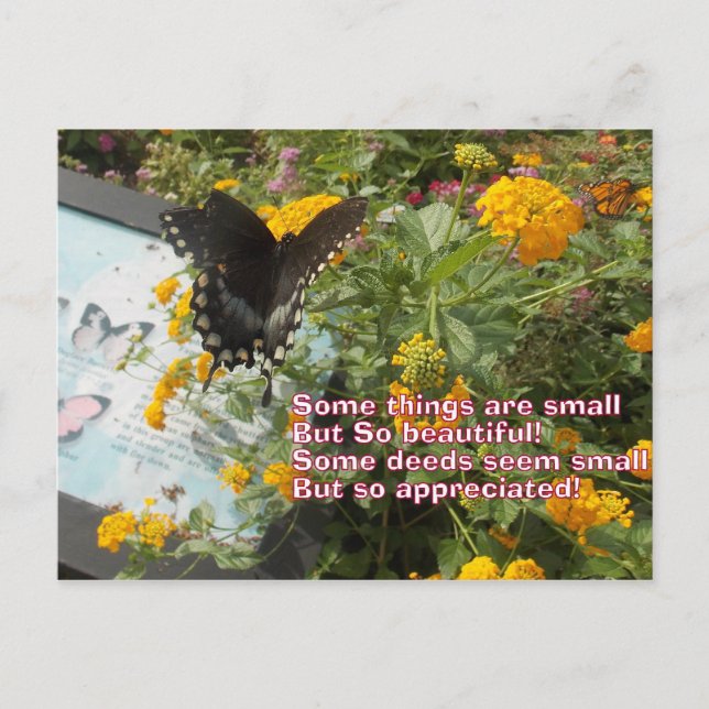 pequeña pero apreciada tarjeta Butfly (Anverso)