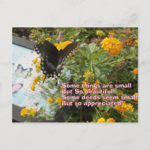 pequeña pero apreciada tarjeta de mariposa