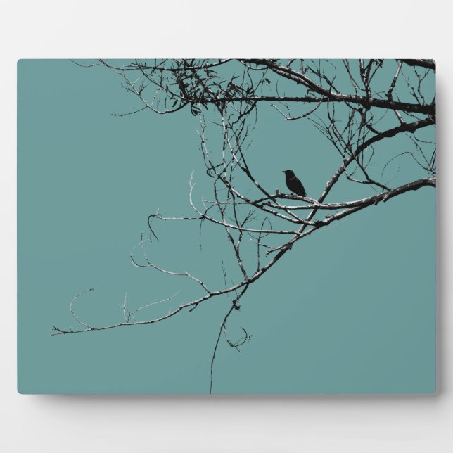 Pequeña placa de pájaro negro (Frente)