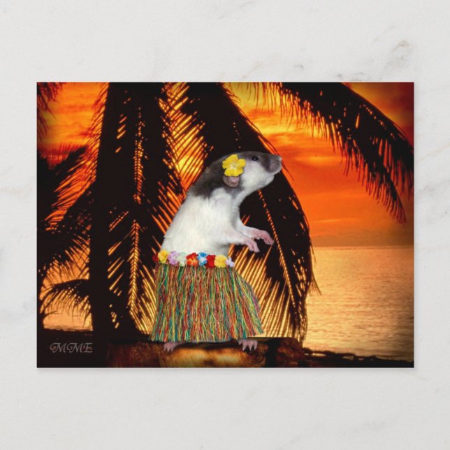 Pequeña postal de miel hula (Anverso)