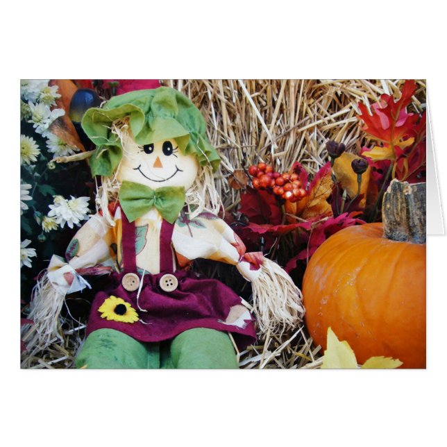 Pequeña señorita Scarecrow (Anverso (Horizontal))