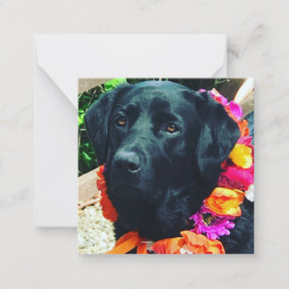 Pequeña Tarjeta con Fia Flower Dog con collar floral