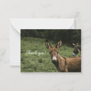 Pequeña Tarjeta de agradecimiento de Donkey