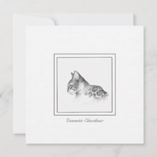 Pequeña Tarjeta de dibujo de gato doméstico de Shorthair v