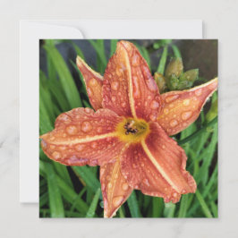 Pequeña Tarjeta de felicitaciones de Lily Day naranja