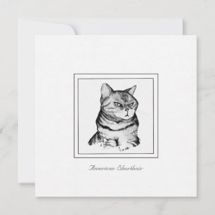 Pequeña Tarjeta de gato estadounidense de pelo corto, negr