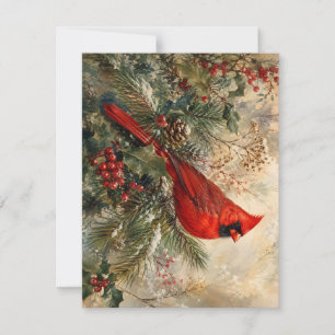 Pequeña Tarjeta de Navidad de cardenal rojo en abeto nevad