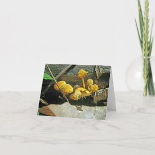 Pequeña tarjeta de notas de la gorra dorada para h