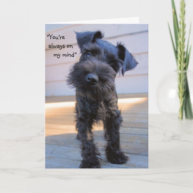 Pequeña tarjeta de saludo en miniatura Schnauzer P (Anverso)