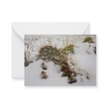 tarjeta de vacaciones de cactus con nieve