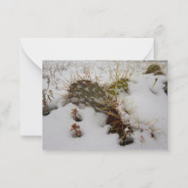 Pequeña tarjeta de vacaciones de cactus con nieve
