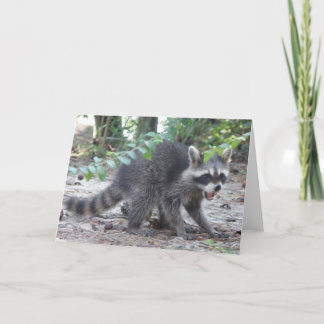 Pequeña tarjeta del mapache