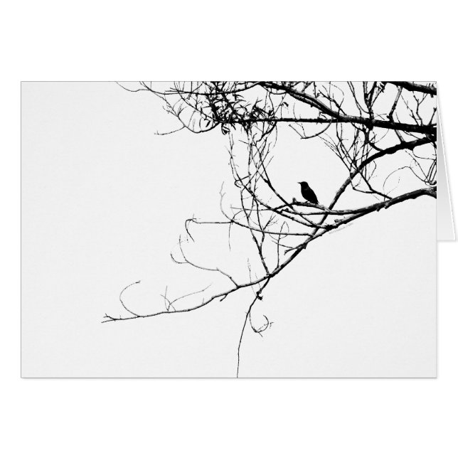 Pequeña tarjeta negra para aves (Anverso (Horizontal))