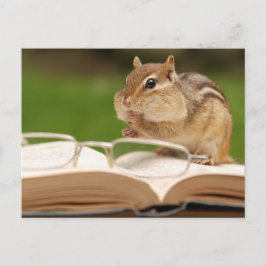 Pequeña tarjeta postal de lectura de Chipmunk