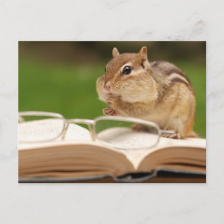 Pequeña tarjeta postal de lectura de Chipmunk