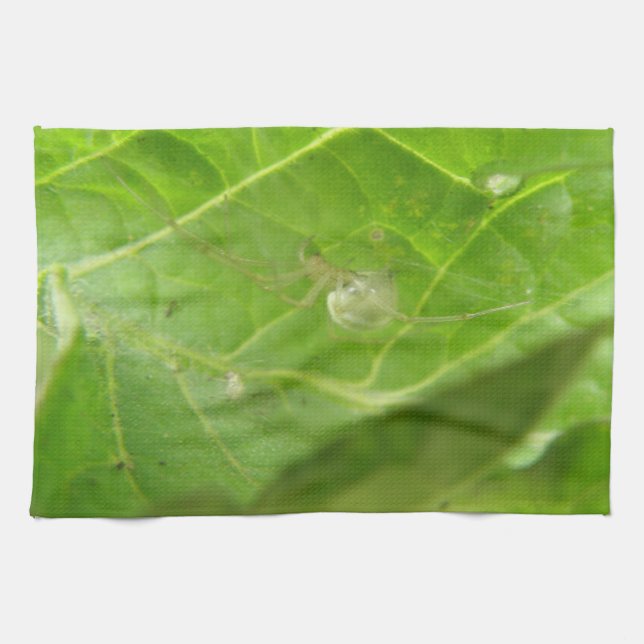 Pequeña toalla de cocina de araña (Horizontal)