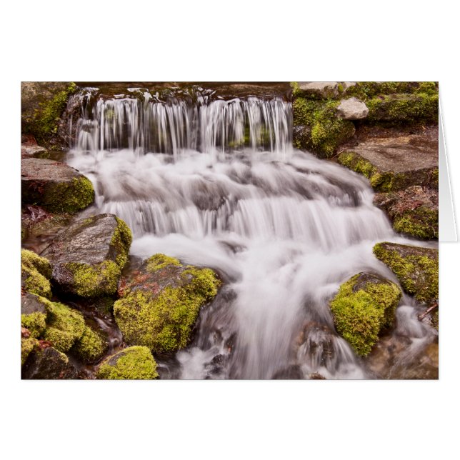 Pequeñas Cascadas en Yosemite (Anverso (Horizontal))