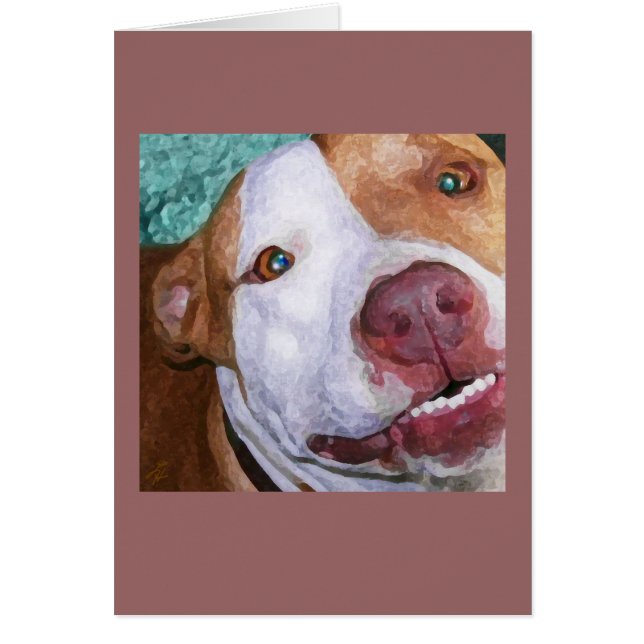 Pequeñas chispas de Johnny (Frente)