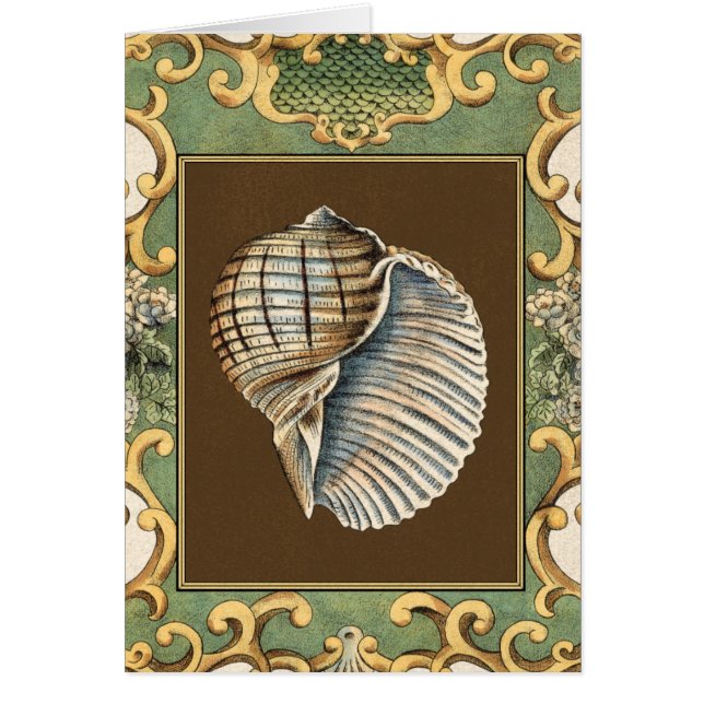 Pequeñas conchas de sirena (Frente)