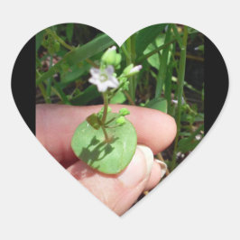 Pequeñas cosas pegatina en forma de corazón