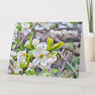 Pequeñas flores blancas - Tarjeta de cumpleaños